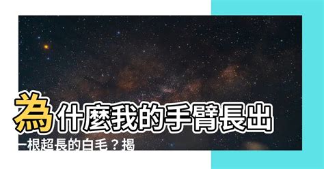 背後長白毛|【手臂長白毛】為什麼我的手臂長出一根超長的白毛？。